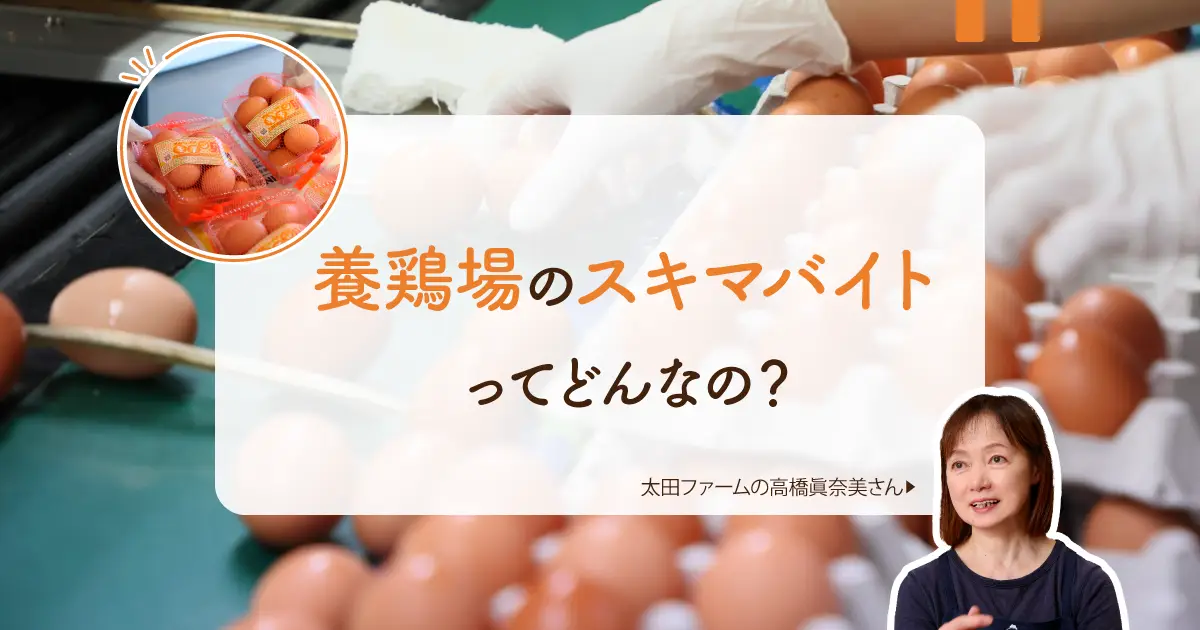 養鶏場でのスキマバイトとは？　北海道「太田ファーム」で業務を体験してみた！