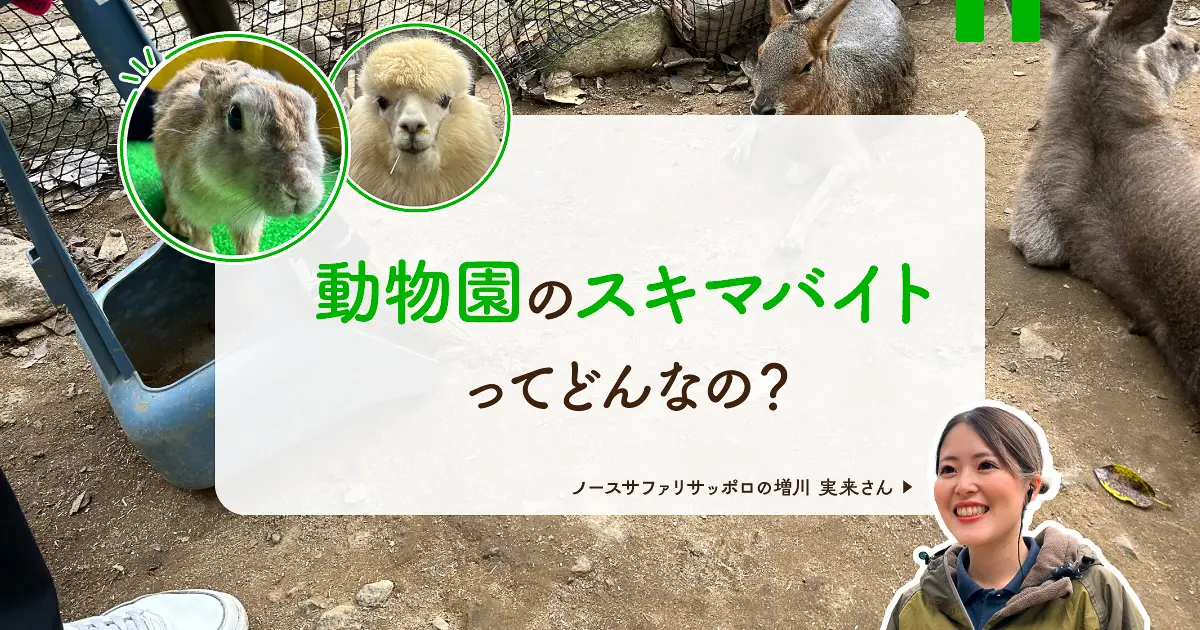 動物園でもタイミーできちゃう！北海道の「ノースサファリサッポロ」でスキマバイト体験